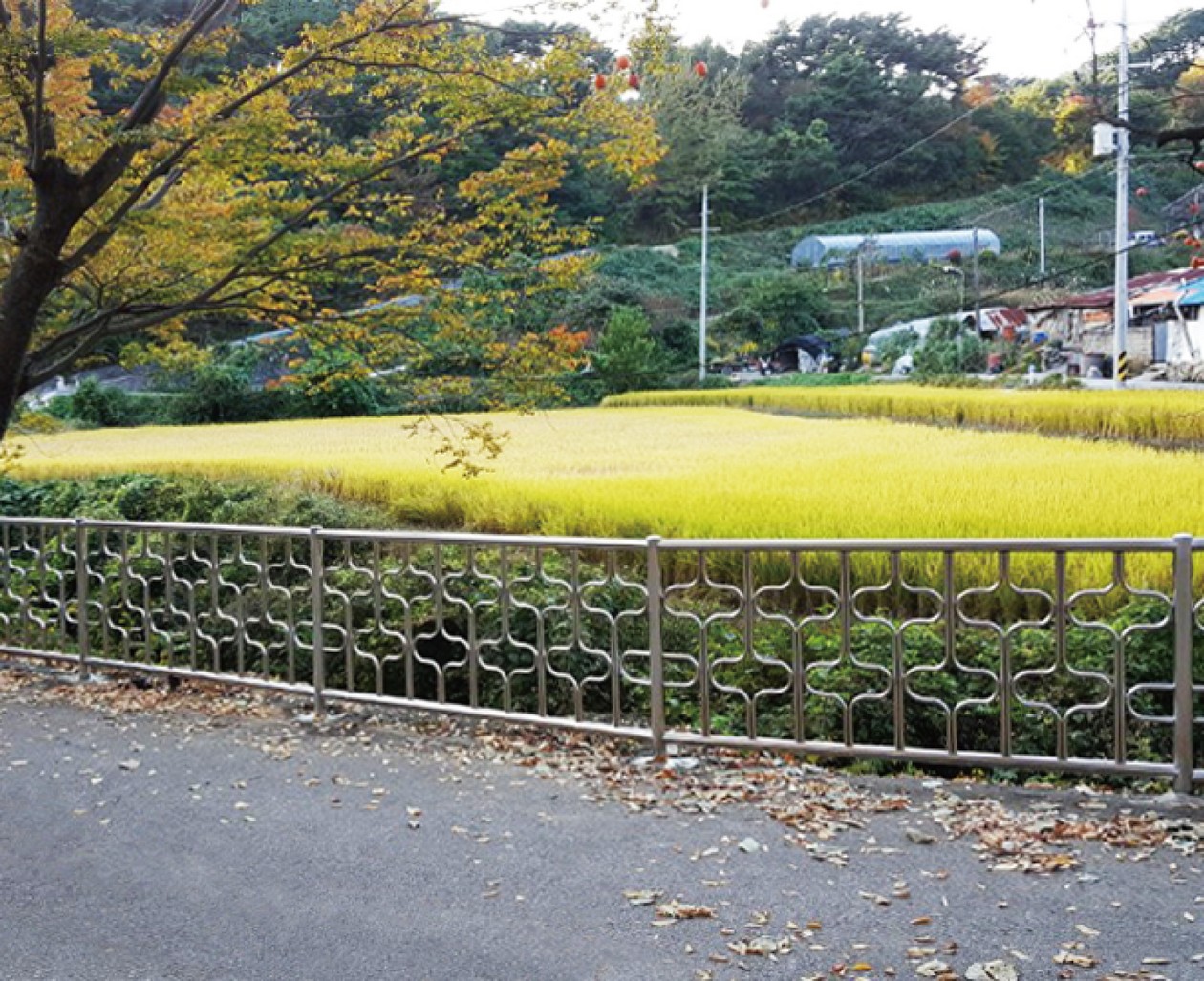 시공현장 111